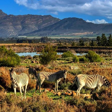 Welbedacht Game & Nature Reserve Tulbagh Εξωτερικό φωτογραφία