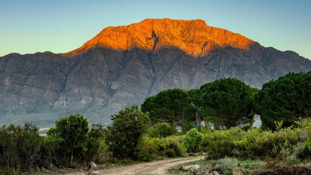 Welbedacht Game & Nature Reserve Tulbagh Εξωτερικό φωτογραφία
