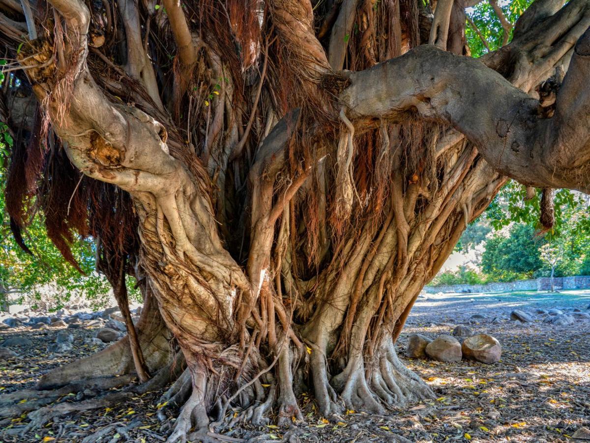 Welbedacht Game & Nature Reserve Tulbagh Εξωτερικό φωτογραφία
