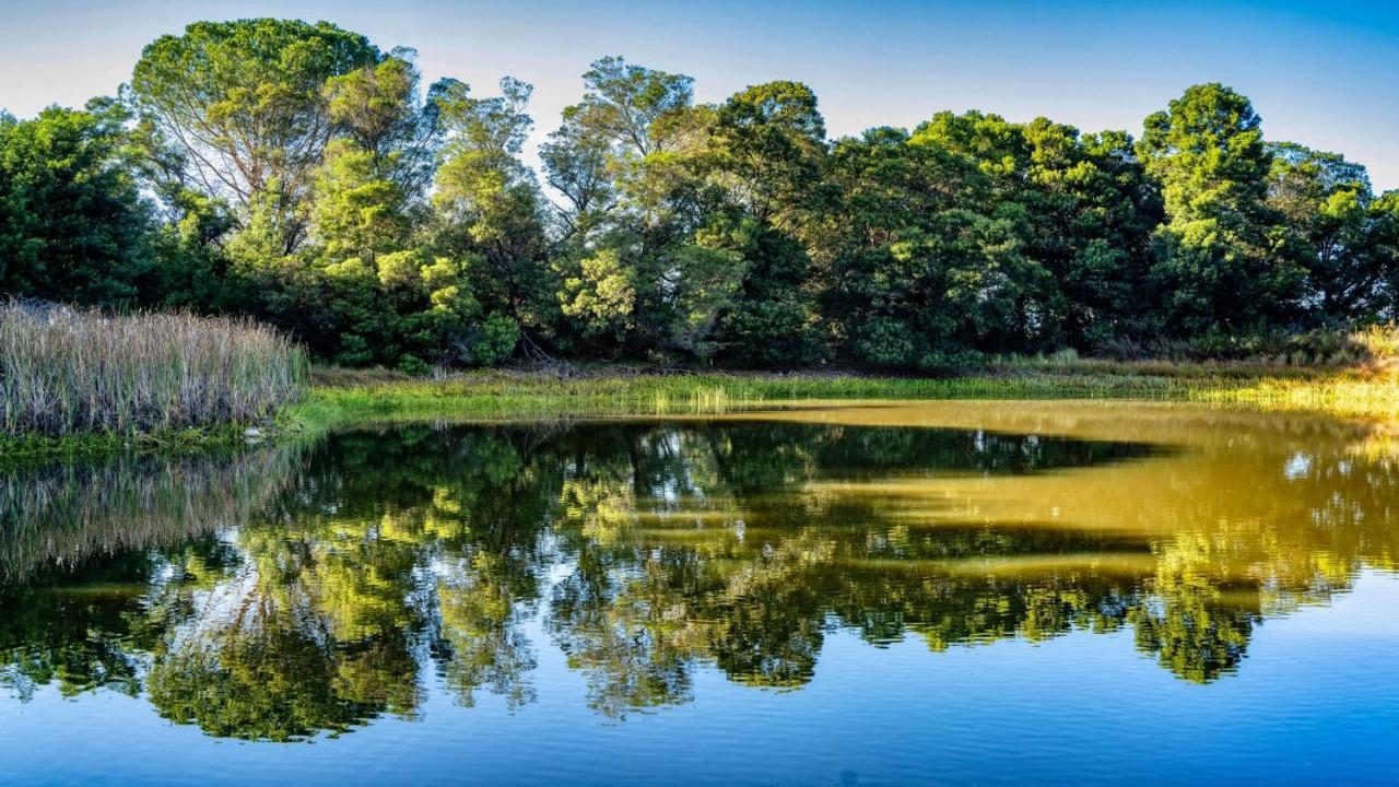 Welbedacht Game & Nature Reserve Tulbagh Εξωτερικό φωτογραφία