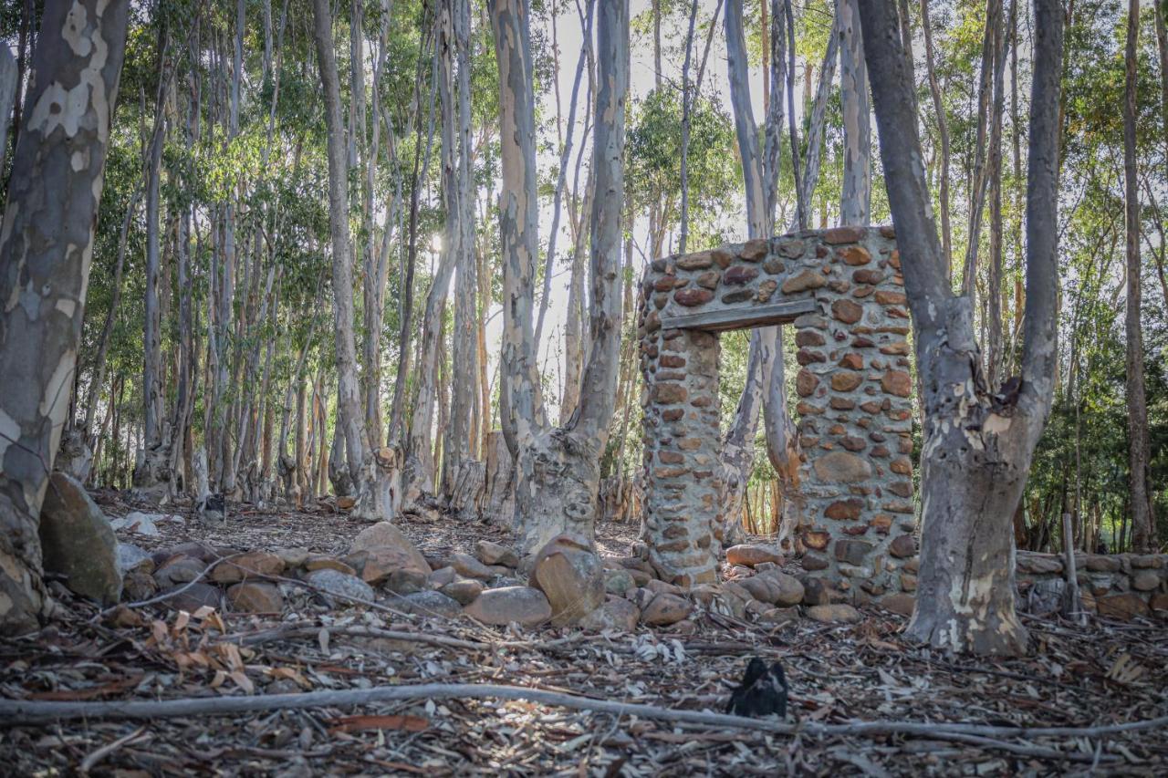 Welbedacht Game & Nature Reserve Tulbagh Εξωτερικό φωτογραφία