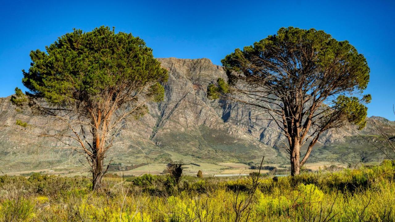 Welbedacht Game & Nature Reserve Tulbagh Εξωτερικό φωτογραφία