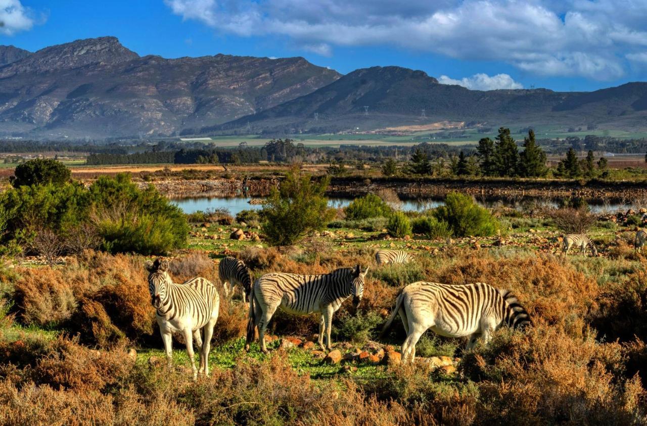 Welbedacht Game & Nature Reserve Tulbagh Εξωτερικό φωτογραφία