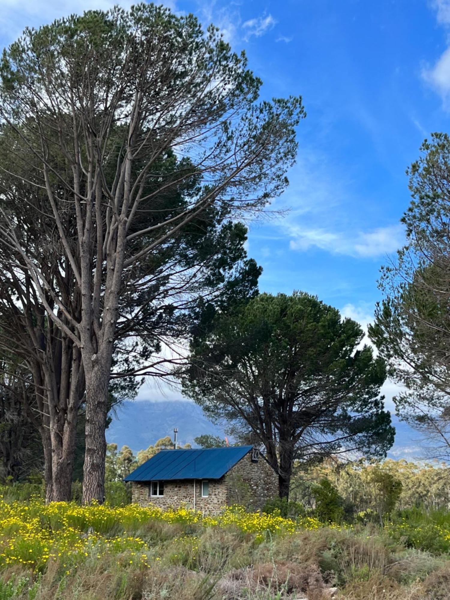 Welbedacht Game & Nature Reserve Tulbagh Εξωτερικό φωτογραφία